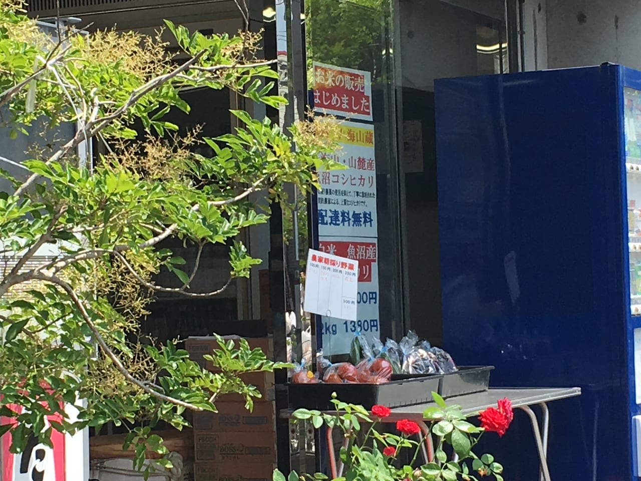 和田文商店