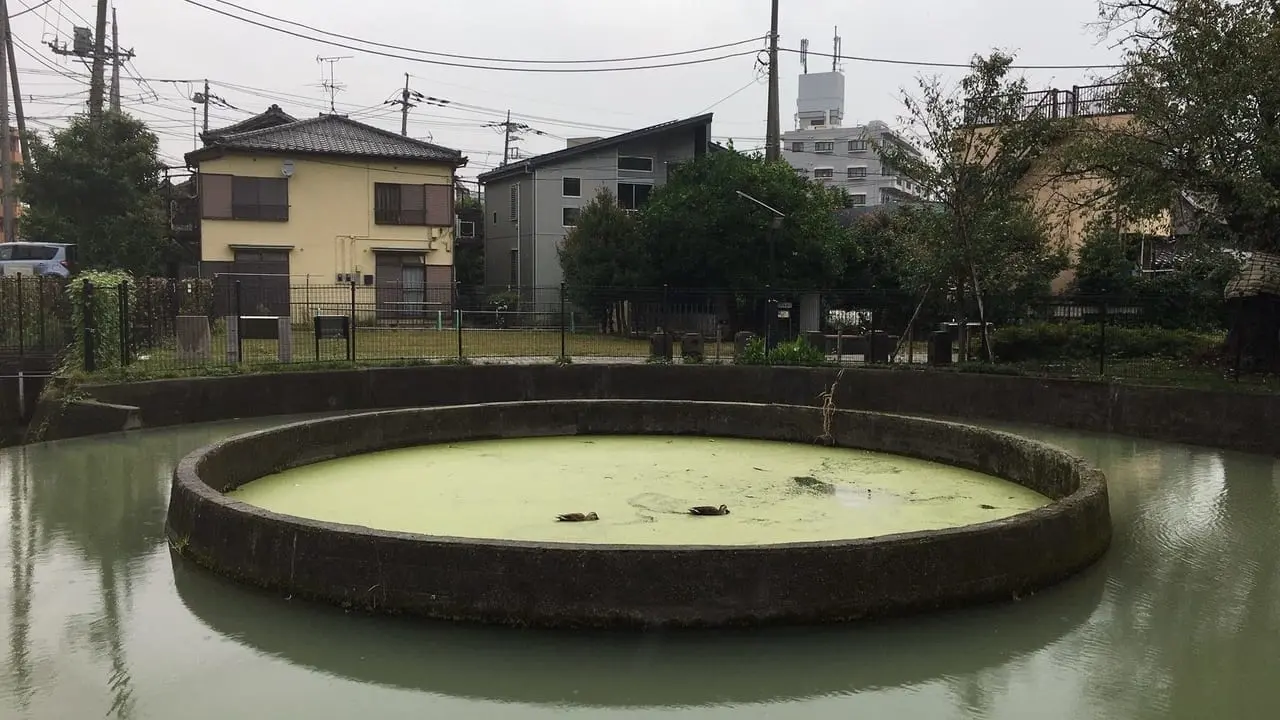 円筒分水