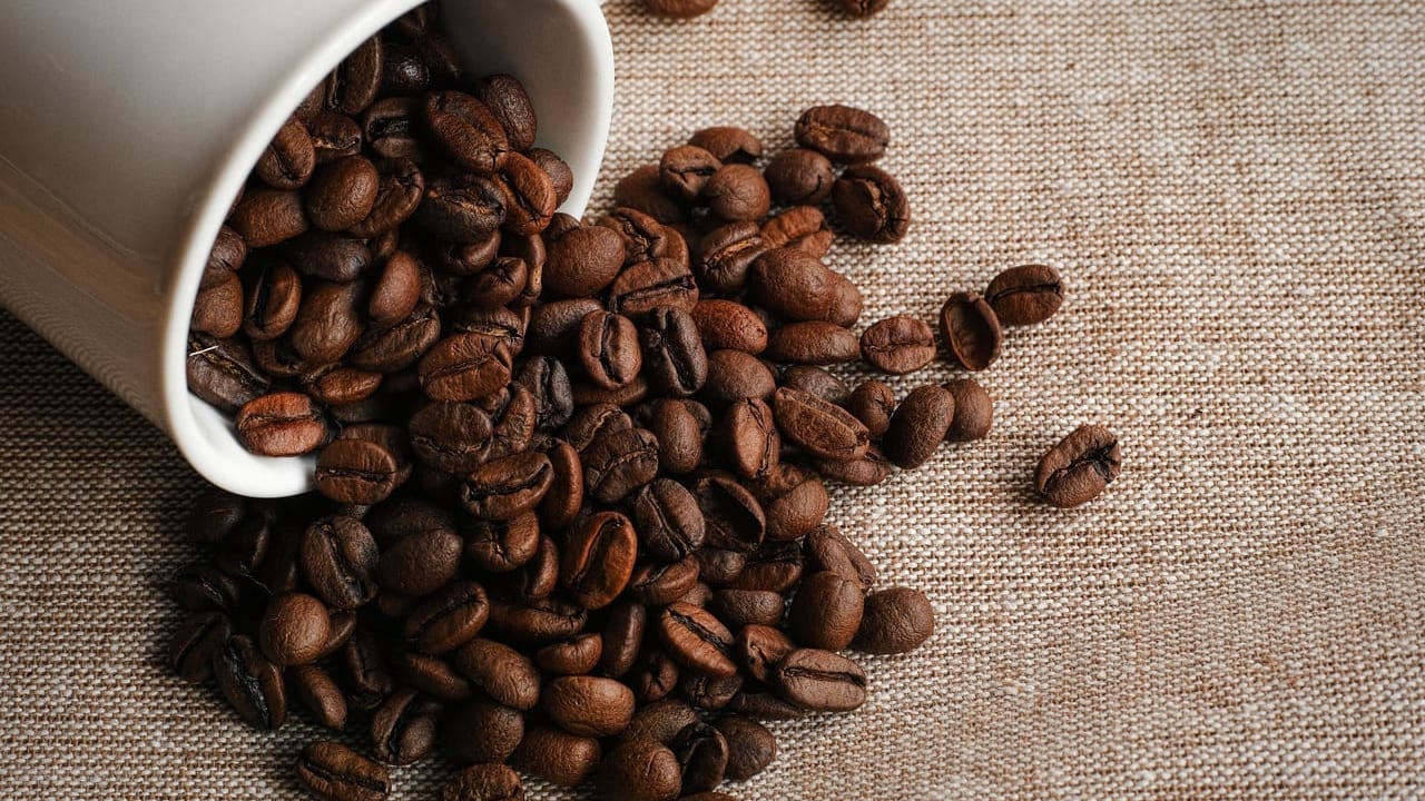 コーヒー豆イメージ